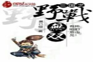 三国之野战无双